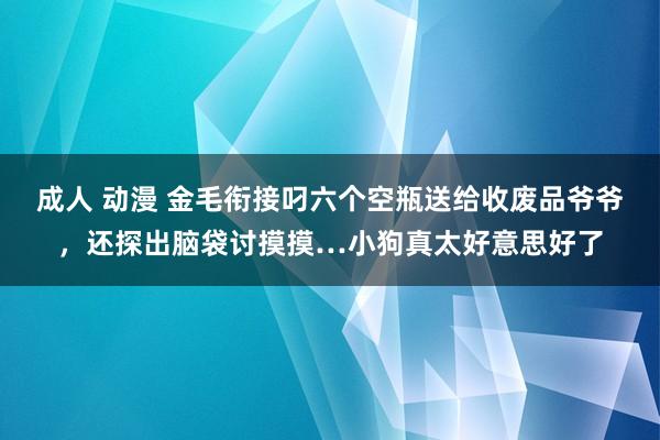 成人 动漫 金毛衔接叼六个空瓶送给收废品爷爷，还探出脑袋讨摸摸…小狗真太好意思好了