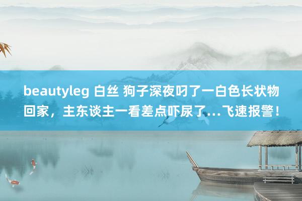 beautyleg 白丝 狗子深夜叼了一白色长状物回家，主东谈主一看差点吓尿了…飞速报警！