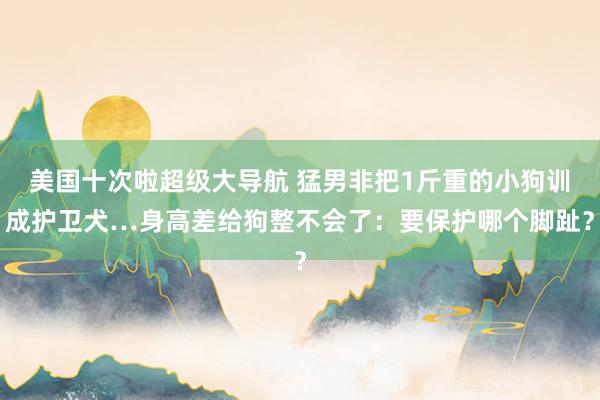 美国十次啦超级大导航 猛男非把1斤重的小狗训成护卫犬…身高差给狗整不会了：要保护哪个脚趾？