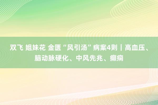 双飞 姐妹花 金匮“风引汤”病案4则｜高血压、脑动脉硬化、中风先兆、癫痫