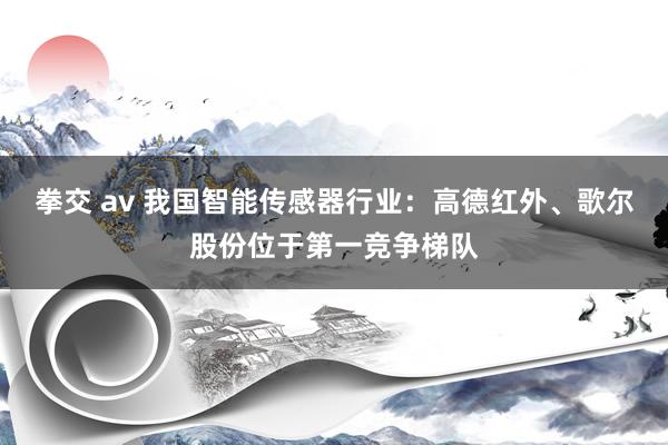 拳交 av 我国智能传感器行业：高德红外、歌尔股份位于第一竞争梯队