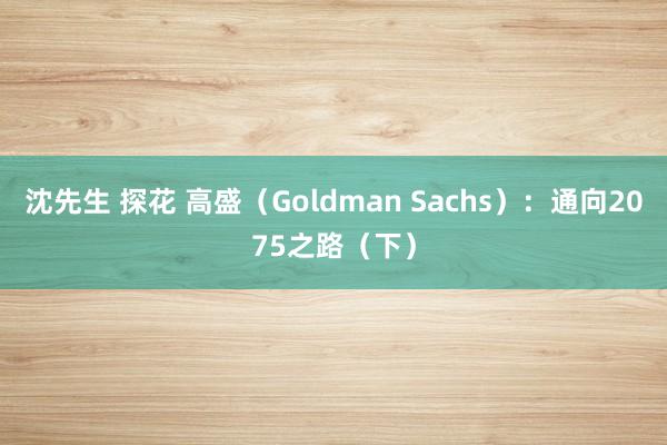 沈先生 探花 高盛（Goldman Sachs）：通向2075之路（下）