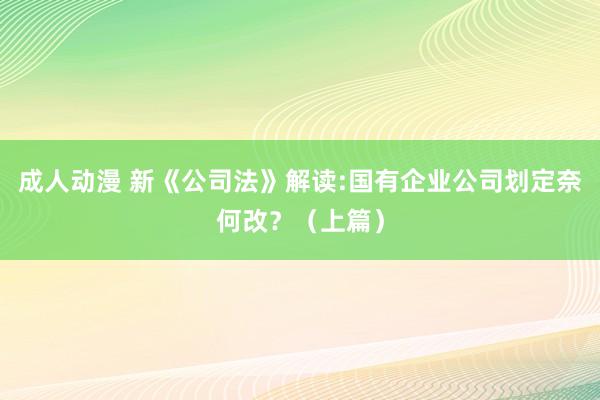 成人动漫 新《公司法》解读:国有企业公司划定奈何改？（上篇）