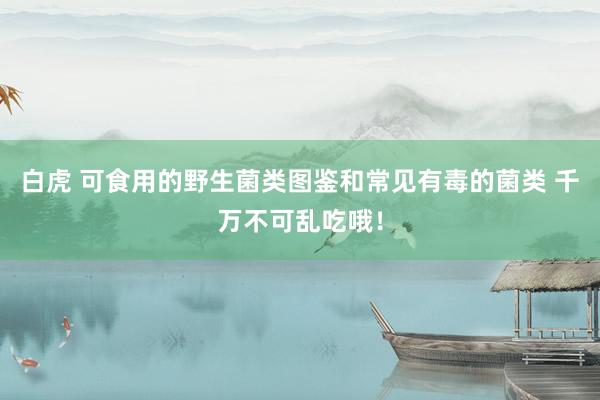 白虎 可食用的野生菌类图鉴和常见有毒的菌类 千万不可乱吃哦！