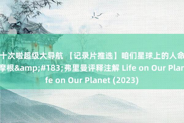 美国十次啦超级大导航 【记录片推选】咱们星球上的人命｜豆瓣8.8分｜摩根&#183;弗里曼评释注解 Life on Our Planet (2023)